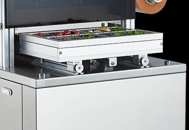 Factory Direct Vertical Modified Atmosphere Sealer DQ480L-E with Food Grade 304 Stainless Steel and 6061 Anodized Aluminum Mold for Automatic Packaging